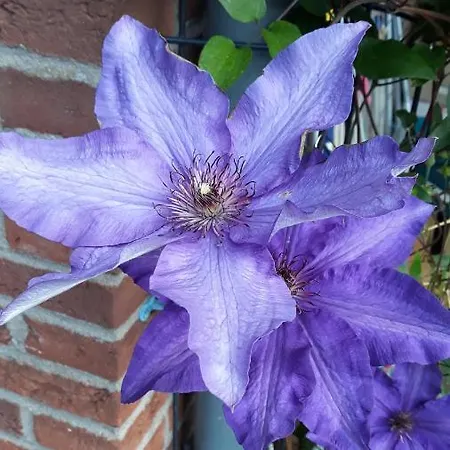 Privatunterkunft Fair